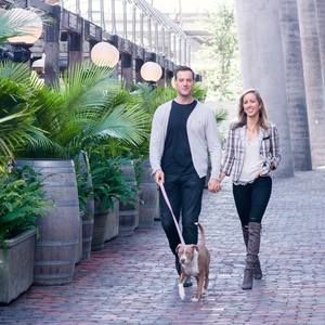 Meet your Posher, Colombe